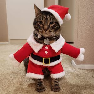 Meet your Posher, Krissy